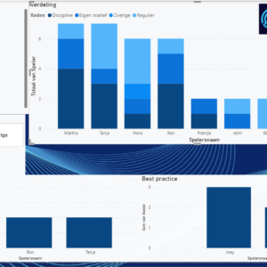 Power BI Training (1-op-1)